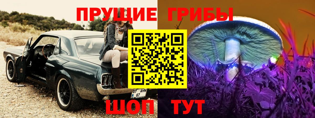 Галлюциногенные грибы Cubensis  купить закладку  Нижневартовск  Вход с VPN  Псилоцибиновые грибы Psilocybe 